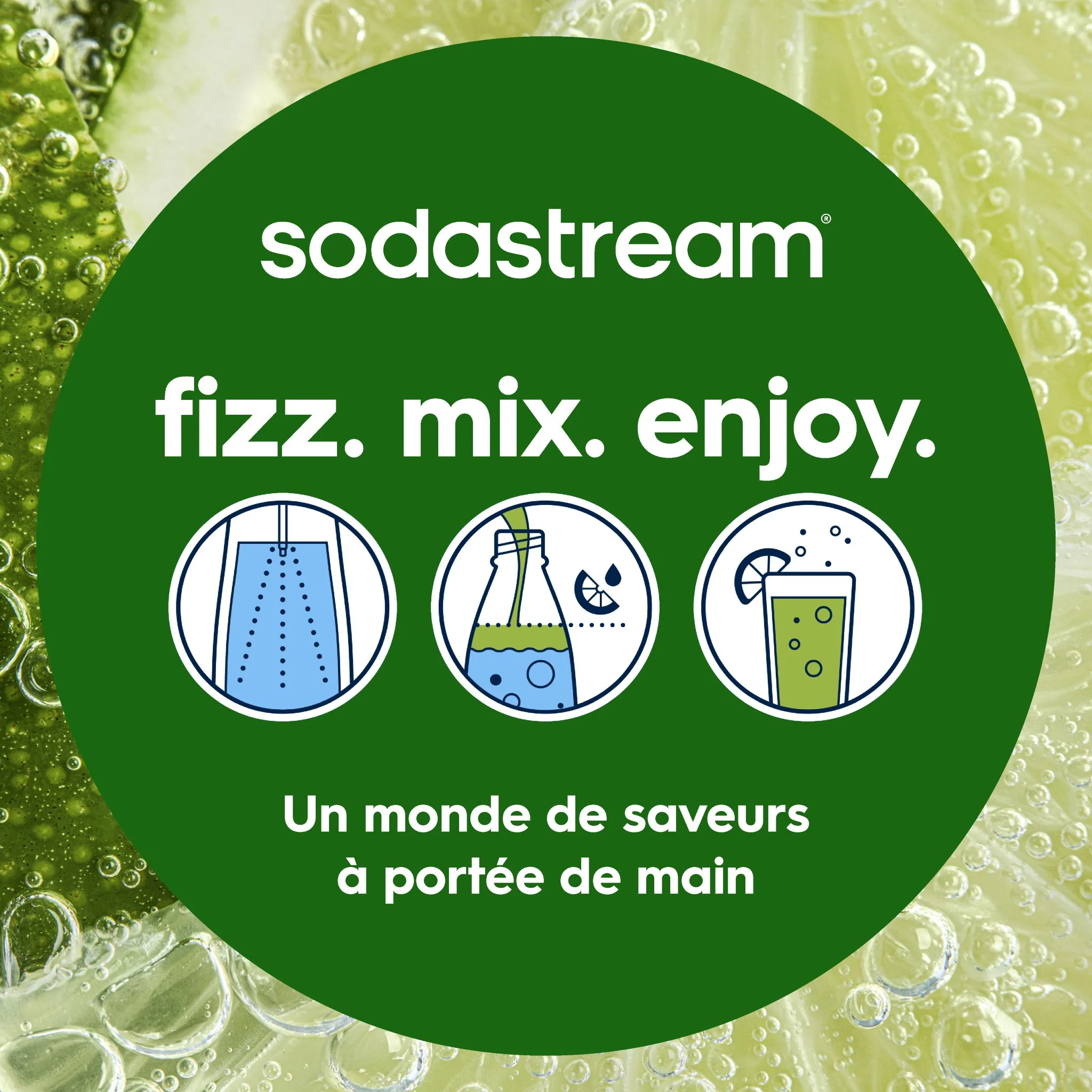 GAIA® - Image 31